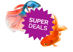 Bekijk de superdeals van deze maand