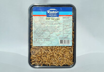 BSF LARVAE 1 LITER