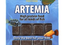 ARTEMIA