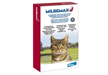 MILBEMAX KAT GROOT 1X2ST