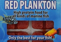 PLANKTON