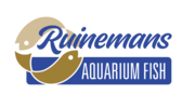 Aquariumvissen