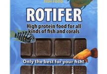 ROTIFER BLISTER 100 GR.