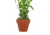 Pots terre-cuite 3cm